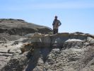 PICTURES/Bisti Badlands in De-Na-Zin Wilderness/t_George at Gray & Black.jpg